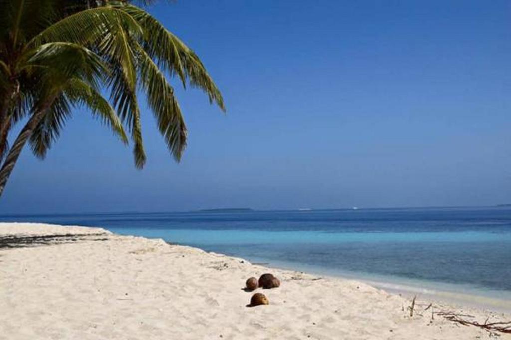 Madi Finolhu Guest House Dharavandhoo Exterior foto