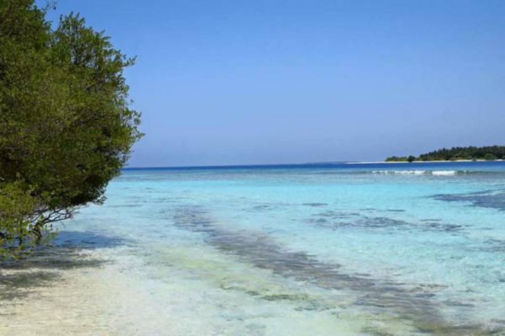Madi Finolhu Guest House Dharavandhoo Exterior foto