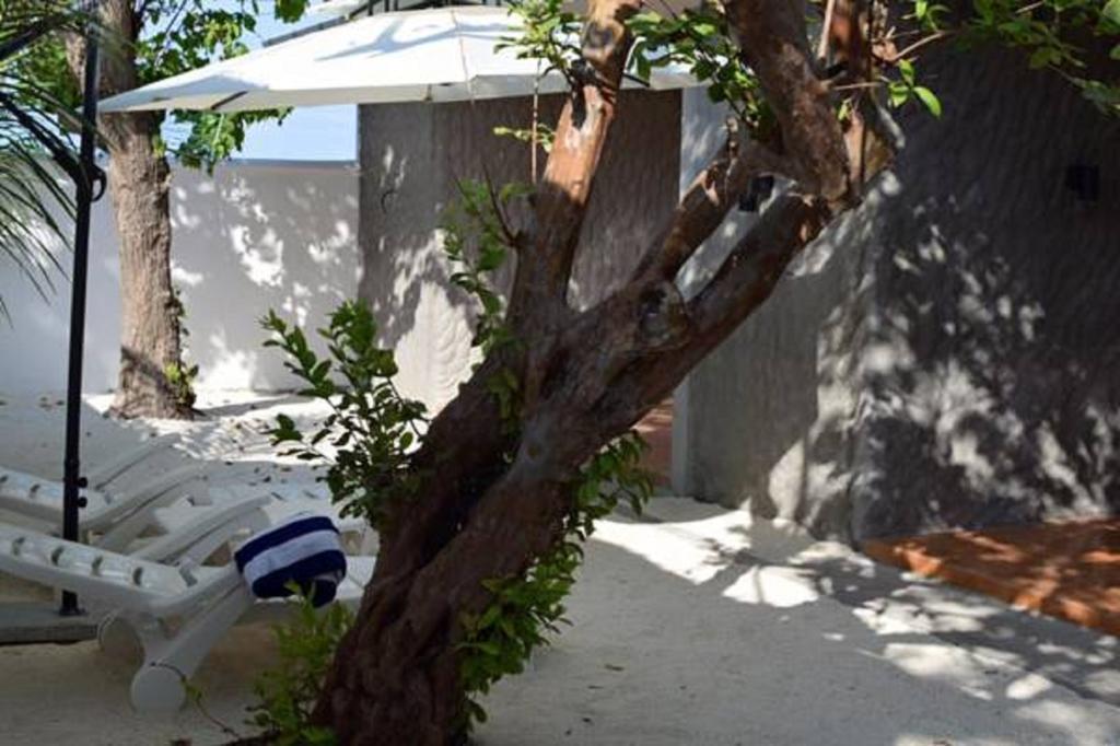 Madi Finolhu Guest House Dharavandhoo Exterior foto