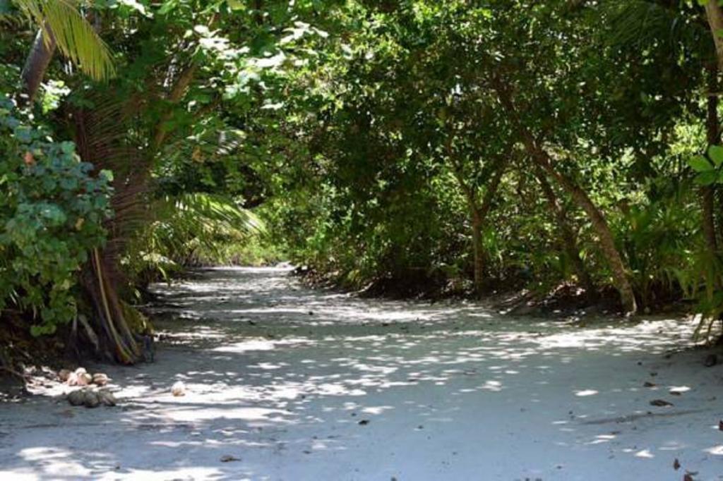 Madi Finolhu Guest House Dharavandhoo Exterior foto